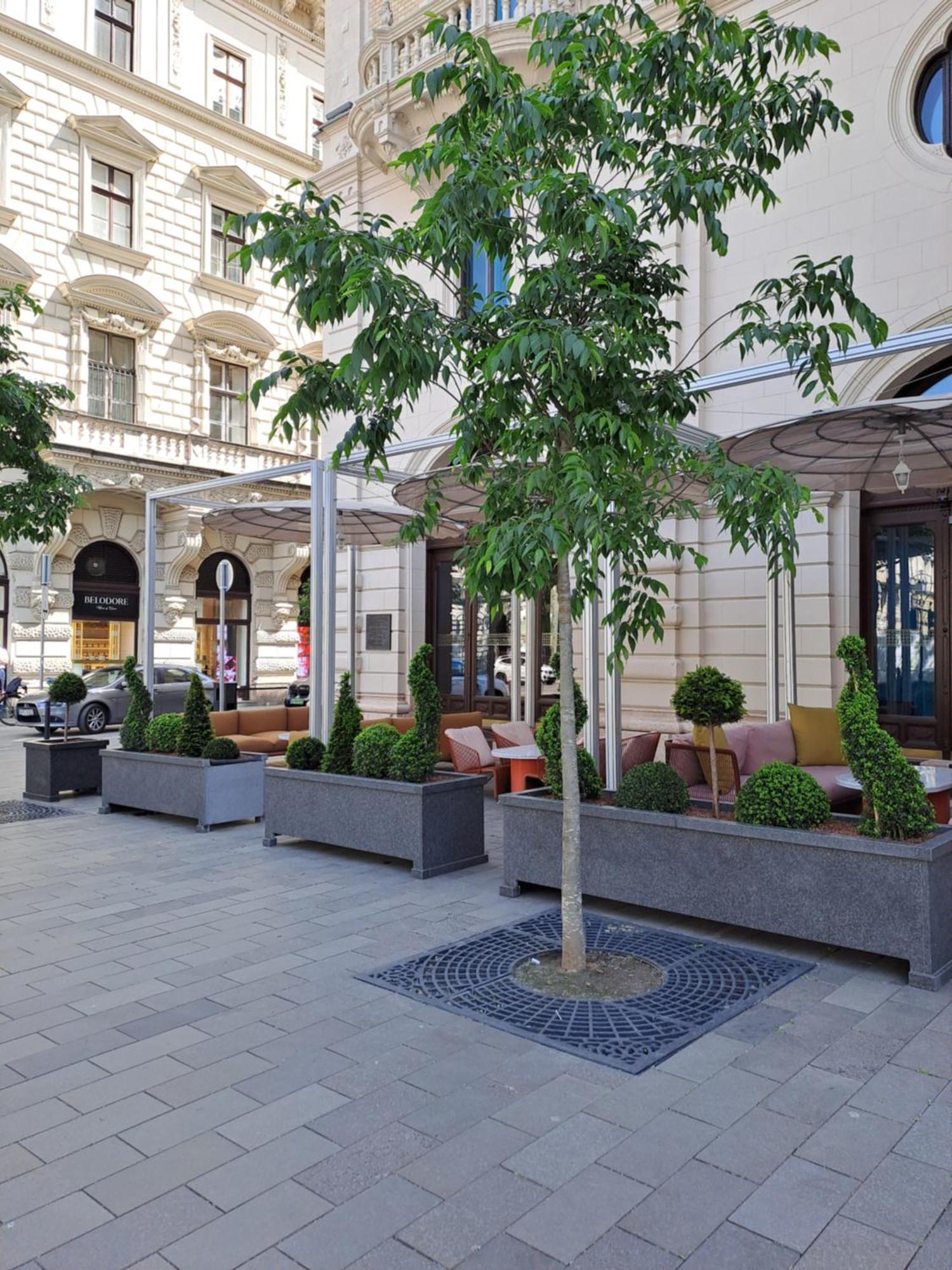 Cute Downtown Apartment Budapešť Exteriér fotografie
